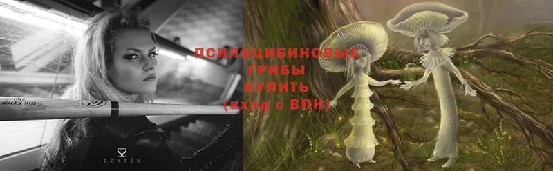 Псилоцибиновые грибы Psilocybe  даркнет сайт  ОМГ ОМГ   Вязники 