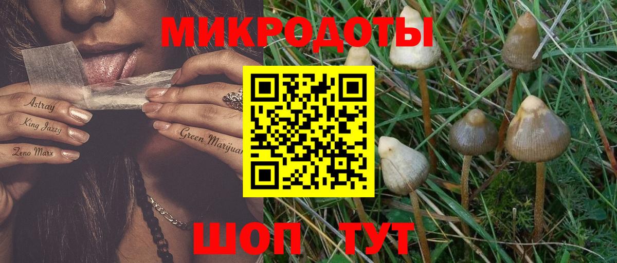 Галлюциногенные грибы ЛСД  Вязники  Псилоцибиновые грибы GOLDEN TEACHER 