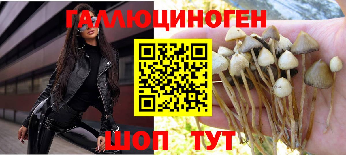 Галлюциногенные грибы мухоморы Вязники
