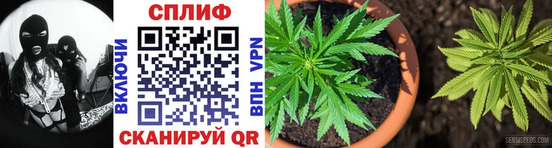 Каннабис Bruce Banner Вязники